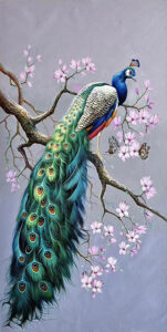 طاووس هزار چشم