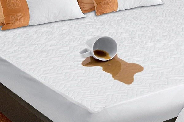 محافظ تشک افرا